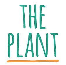 The plant