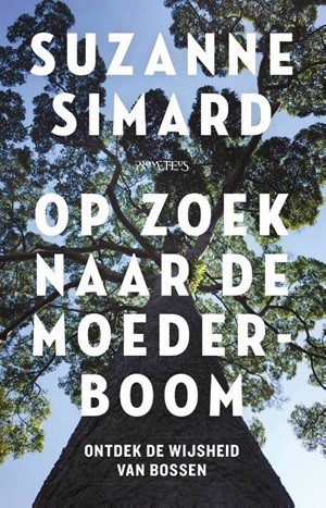 Boek Cover Op zoek naar de moederboom - Suzanne Simard