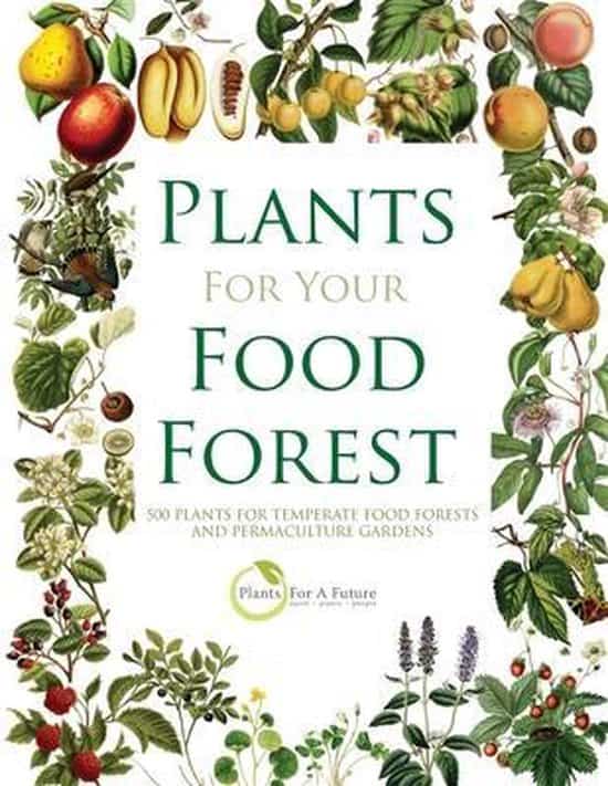 Plants food forest