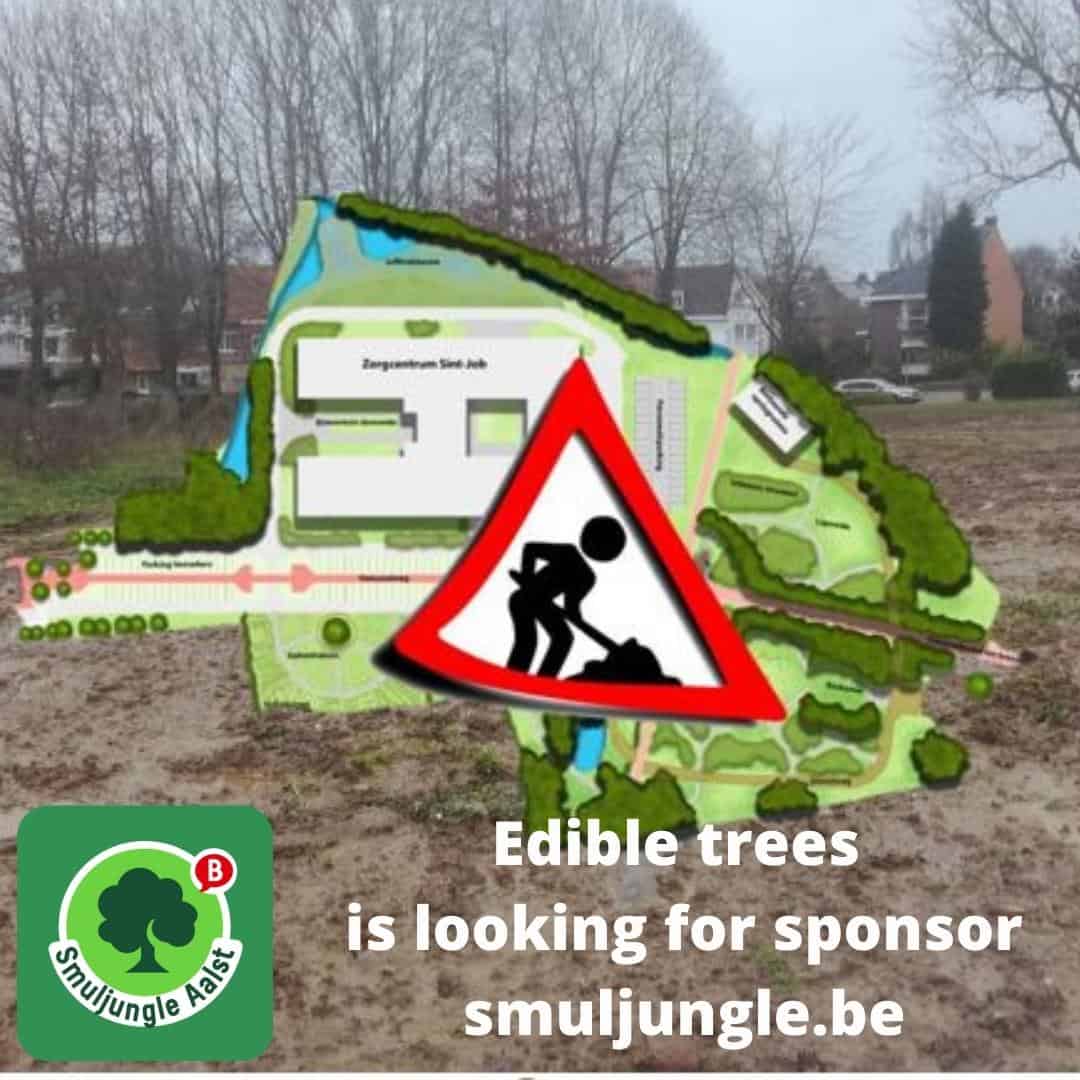 Edible trees is looking for sponsor