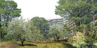 Rotterdam Food Forest